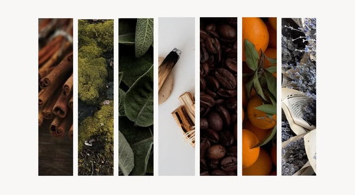 Scented Oils